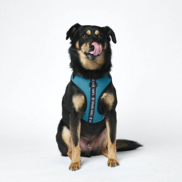 Yogawear Dog Harness - Blue
