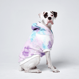 premium dog apparel sweater hoodies for winter, suitable for pit bulls, french bulldogs, big dogs, pugs, staffies and more