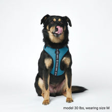 Load image into Gallery viewer, Yogawear Dog Harness (Multi-Colour)
