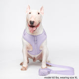 Yogwear Harness Set - Lilac