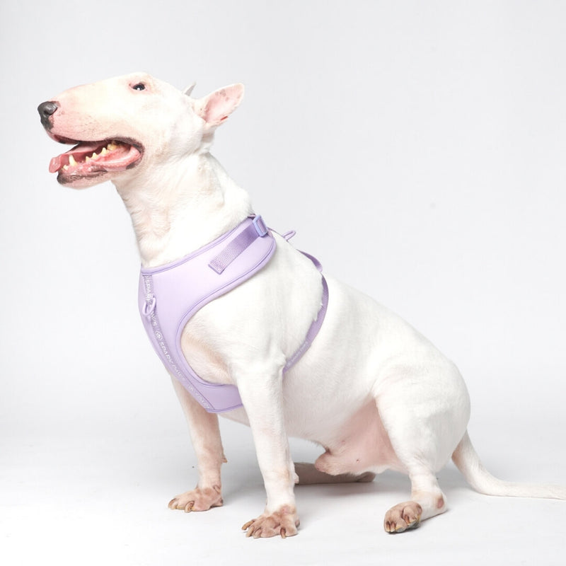 Yogawear Dog Harness - Lilac