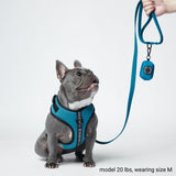 Yogawear Dog Harness - Blue