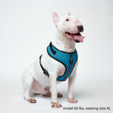 Yogawear Dog Harness - Blue