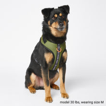 Load image into Gallery viewer, Yogawear Dog Harness - Green
