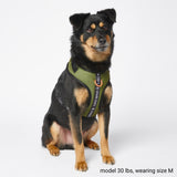 Yogawear Dog Harness - Green