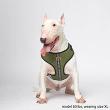 Load image into Gallery viewer, Yogawear Dog Harness - Green
