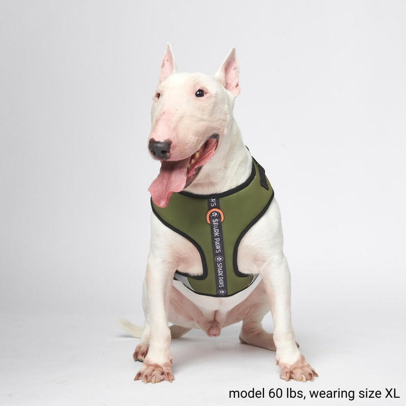 Yogawear Dog Harness - Green