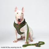 Yogawear Harness Set - Green