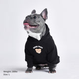 Teddy Bear Dog Hoodie - Black