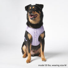 Load image into Gallery viewer, Yogawear Dog Harness - Lilac
