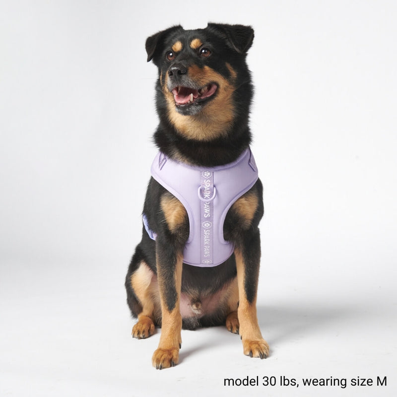 Yogawear Dog Harness - Lilac