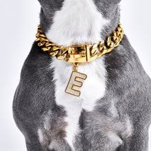 Load image into Gallery viewer, Gold initial letter pendant jewelry tag for dogs, pet ID tag for small and big dogs, bling for dogs, charms for dogs
