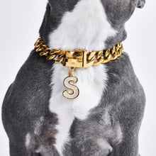 Load image into Gallery viewer, Gold initial letter pendant jewelry tag for dogs, pet ID tag for small and big dogs, bling for dogs, charms for dogs
