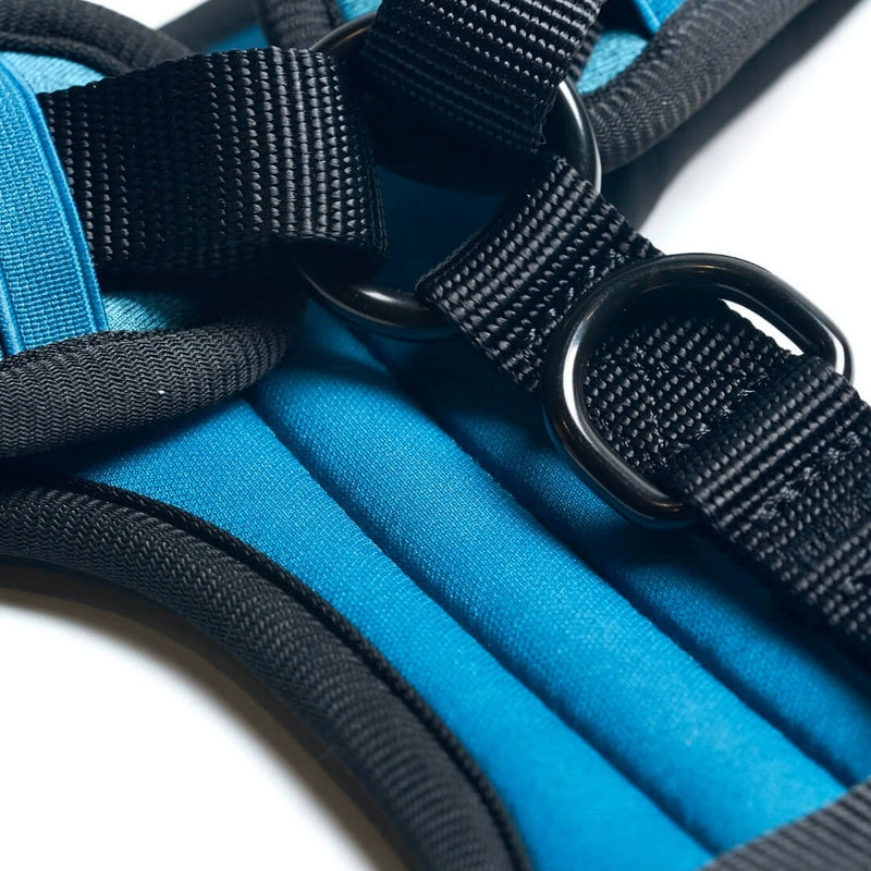 Yogawear Dog Harness - Blue