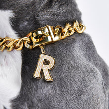 Load image into Gallery viewer, Gold initial letter pendant jewelry tag for dogs, pet ID tag for small and big dogs, bling for dogs, charms for dogs
