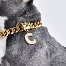Load image into Gallery viewer, Gold initial letter pendant jewelry tag for dogs, pet ID tag for small and big dogs, bling for dogs, charms for dogs
