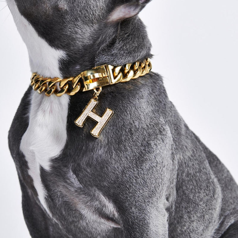 Gold initial letter pendant jewelry tag for dogs, pet ID tag for small and big dogs, bling for dogs, charms for dogs