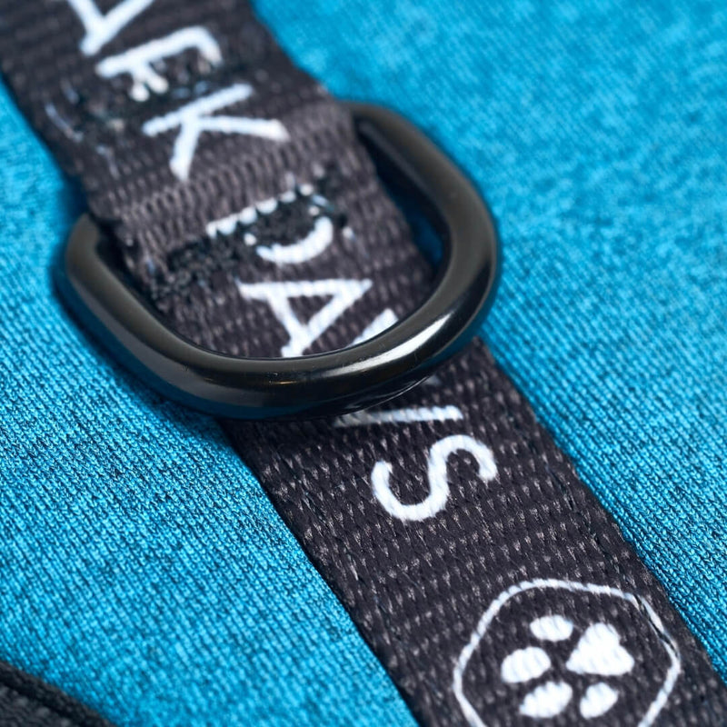 Yogawear Dog Harness - Blue