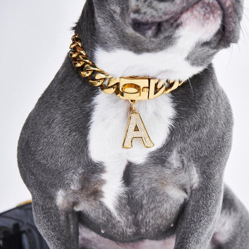 Gold initial letter pendant jewelry tag for dogs, pet ID tag for small and big dogs, bling for dogs, charms for dogs