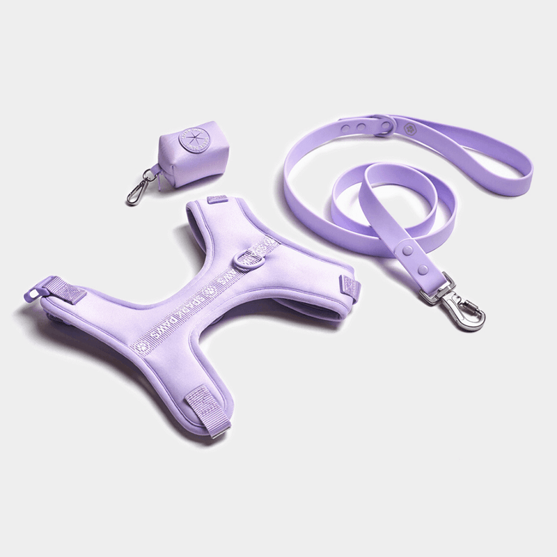 Yogwear Harness Set - Lilac