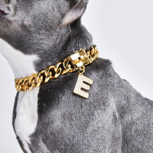 Load image into Gallery viewer, Gold initial letter pendant jewelry tag for dogs, pet ID tag for small and big dogs, bling for dogs, charms for dogs

