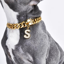 Load image into Gallery viewer, Gold initial letter pendant jewelry tag for dogs, pet ID tag for small and big dogs, bling for dogs, charms for dogs
