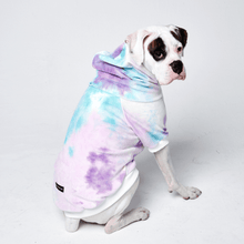 Load image into Gallery viewer, premium dog apparel sweater hoodies for winter, suitable for pit bulls, french bulldogs, big dogs, pugs, staffies and more
