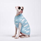 Clouds Knit Dog Sweater - Blue