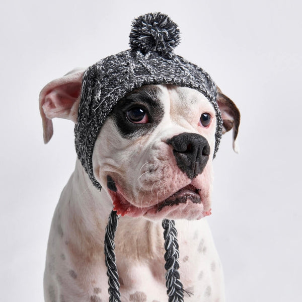 Knit Pom Pom Dog Beanie Hat - Grey