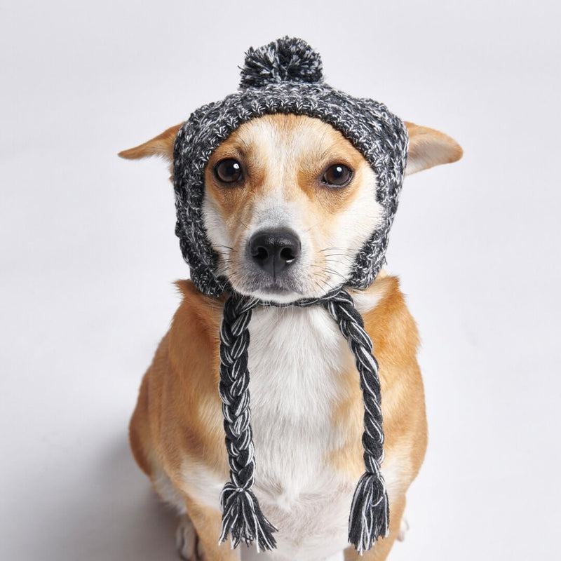 Knit Pom Pom Dog Beanie Hat - Grey