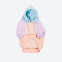 Load image into Gallery viewer, Cotton Candy Dog Hoodie
