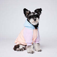 Load image into Gallery viewer, Cotton Candy Dog Hoodie
