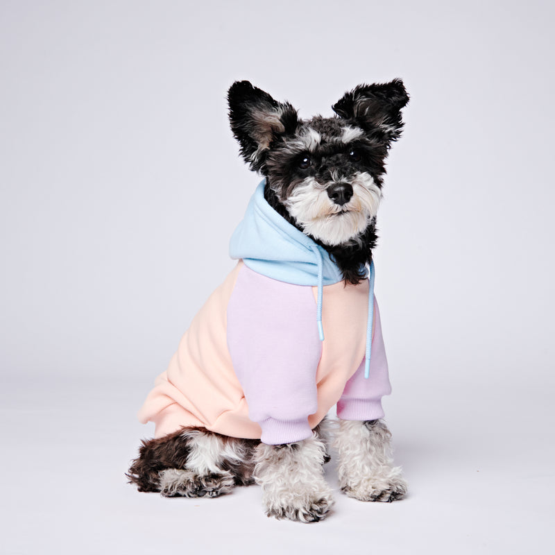 Cotton Candy Dog Hoodie