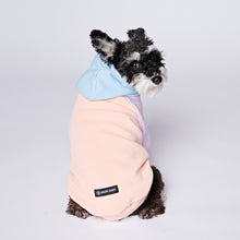 Load image into Gallery viewer, Cotton Candy Dog Hoodie
