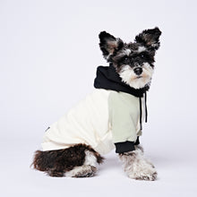 Load image into Gallery viewer, Olive Cream Dog Hoodie

