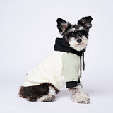 Olive Cream Dog Hoodie