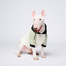 Load image into Gallery viewer, Olive Cream Dog Hoodie
