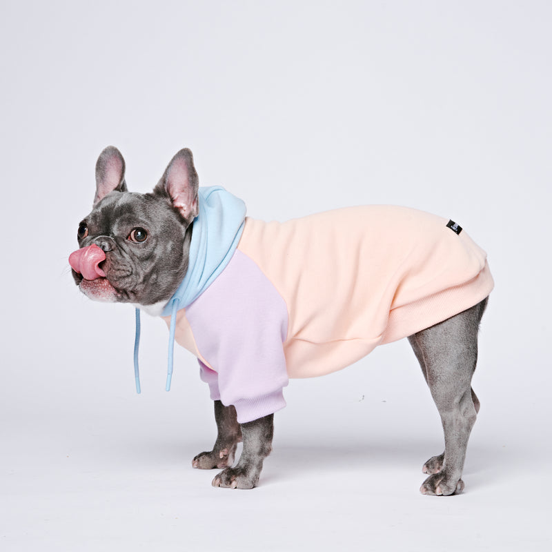 Cotton Candy Dog Hoodie