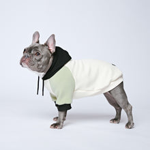 Load image into Gallery viewer, Olive Cream Dog Hoodie
