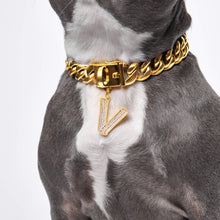Load image into Gallery viewer, Initial Letter Jewelry Tag - V

