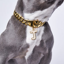 Load image into Gallery viewer, Initial Letter Jewelry Tag - J

