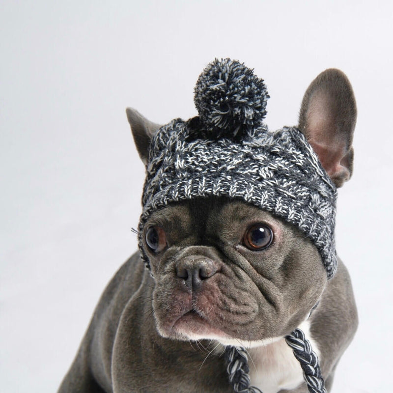 Knit Pom Pom Dog Beanie Hat - Grey