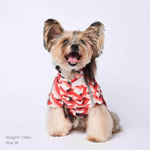 Load image into Gallery viewer, Zig-Zag Reflective Dog Raincoat

