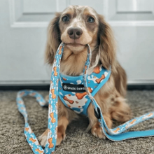 Load image into Gallery viewer, Cookies &amp; Cream Leash
