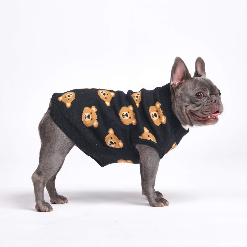 Teddy Bear Dog Knit Sweater