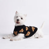 Teddy Bear Dog Knit Sweater