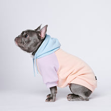 Load image into Gallery viewer, Cotton Candy Dog Hoodie
