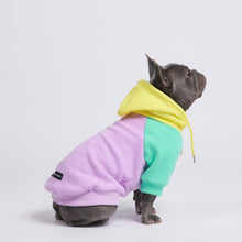 Load image into Gallery viewer, premium dog apparel sweater hoodies for winter, suitable for pit bulls, french bulldogs, big dogs, pugs, staffies and more
