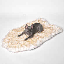 Load image into Gallery viewer, Memory Foam Faux Fur Rug Dog Bed
