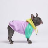 premium dog apparel sweater hoodies for winter, suitable for pit bulls, french bulldogs, big dogs, pugs, staffies and more